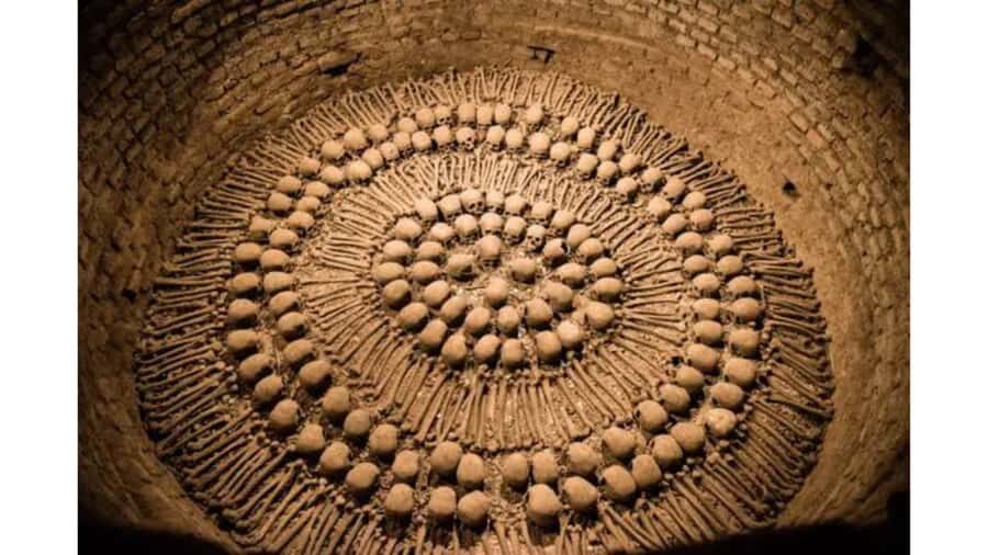 LIMA WALKING TOUR CATACOMBS FROM MIRAFLORES, HISTORICAL CENTER, WINES+BUS - Plaza Mayor to Lima Cathedral: power, faith, and government in one block