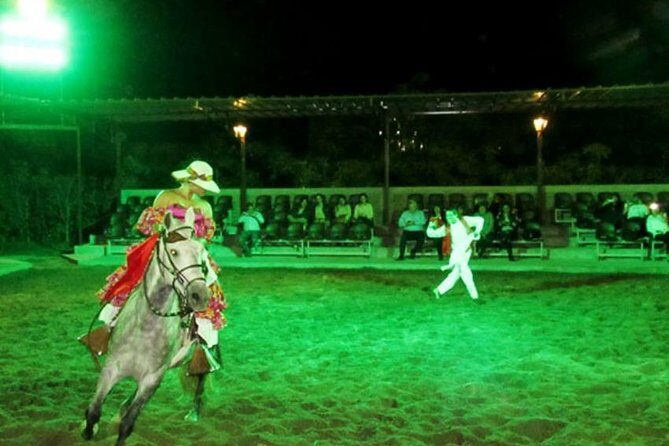 Lunch Show - Exhibition of Peruvian Horse with Pick up & drop off - Price and value: what $119 buys you (and what it doesn’t)