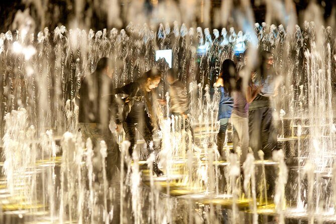Magic Water Circuit with Dinner - The dinner in a 100-year-old house museum: Peruvian food, plus performance