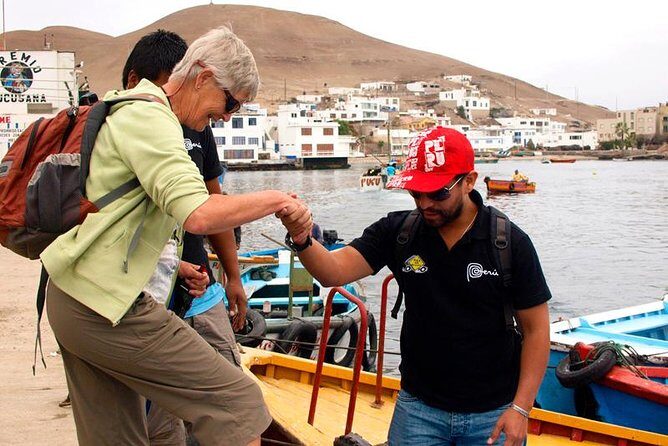 Marine wildlife observation in a fishing village - Pucusana Fishing Village: Close Nature on Lima’s Coast