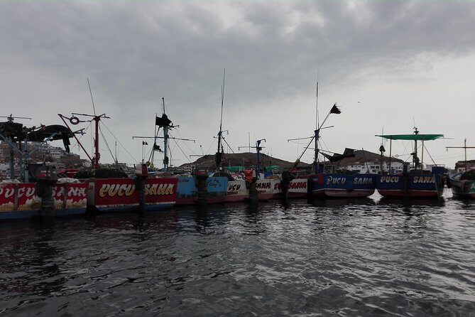 Marine wildlife observation in a fishing village - Price, Time, and Value for $140