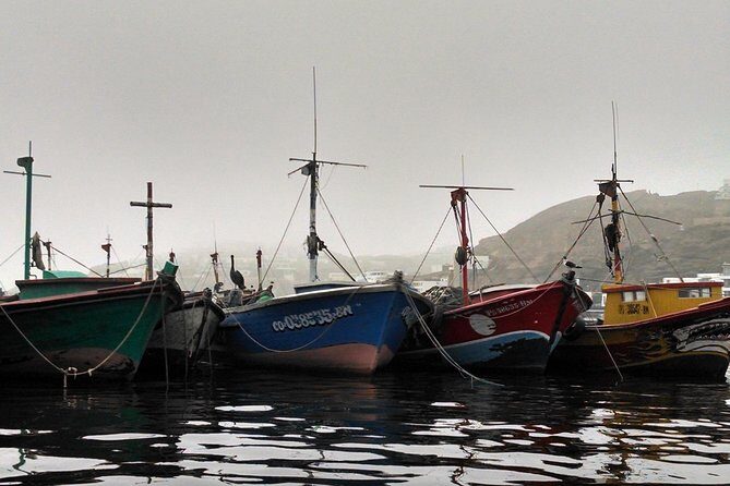 Marine wildlife observation in a fishing village - Practical Packing List for a Coastal Wildlife Morning