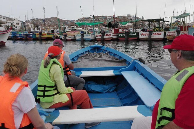 Marine wildlife observation in a fishing village - Quick Decision: Should You Book This Lima Wildlife Trip?