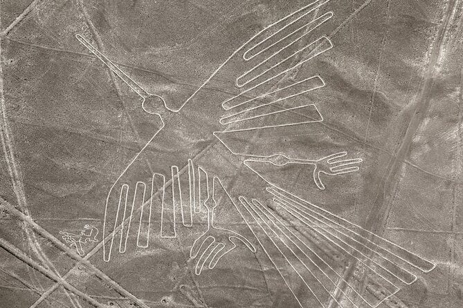Nazca Lines and Huacachina 2 Day Tour from Lima - Ica Vineyard Time and Pisco Tasting Without the Attitude