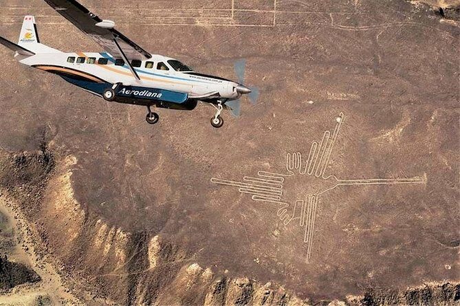 Nazca Lines and Huacachina Oasis from Lima - Nazca Lines overflight: getting the view that ground-level can’t give
