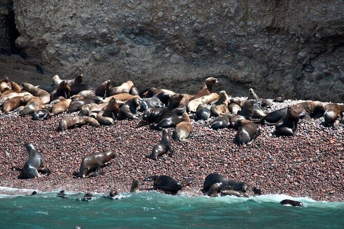 Nazca Lines & Ballestas Islands Private Tour Bus&Flight from Lima - Price and Value: The $818 Tour Plus Airport and Overflight Fees