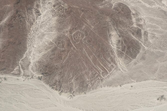 Nazca Lines Full Day Trip from Lima - Price and value: what you’re paying for (and what costs extra)