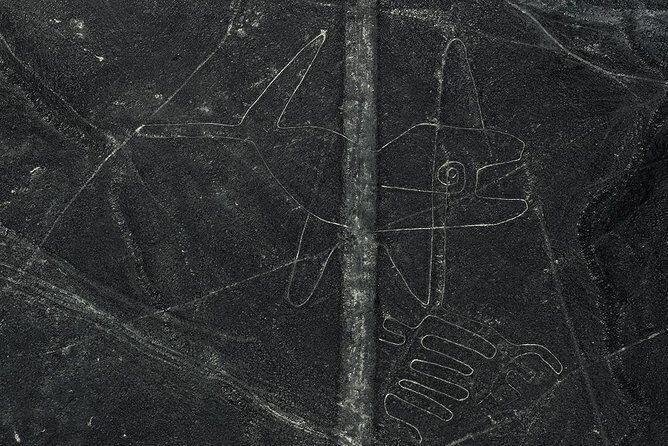 Nazca Lines Scenic Flight – Unforgettable Day Tour, from Lima - The guide experience: why names keep coming up