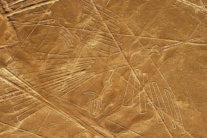 Nazca Lines Scenic Flight – Unforgettable Day Tour, from Lima - Timing traps: what can stretch the day to 15 hours
