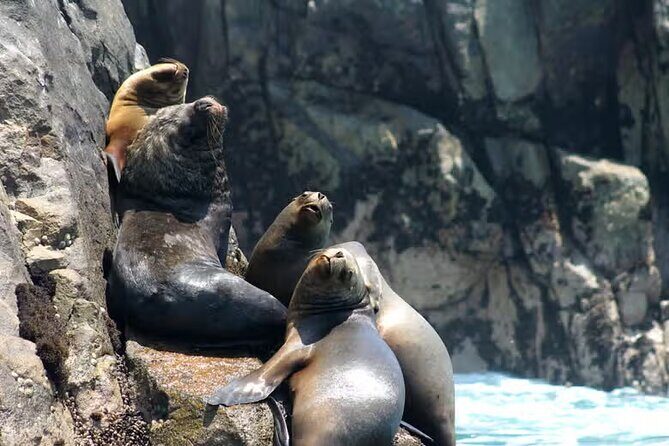 Palomino Islands Speedboat Tour and Swim with Sea Lions - Stop 1, Callao waters: rock formations, fishing boats, and El Camotal’s low-tide clues