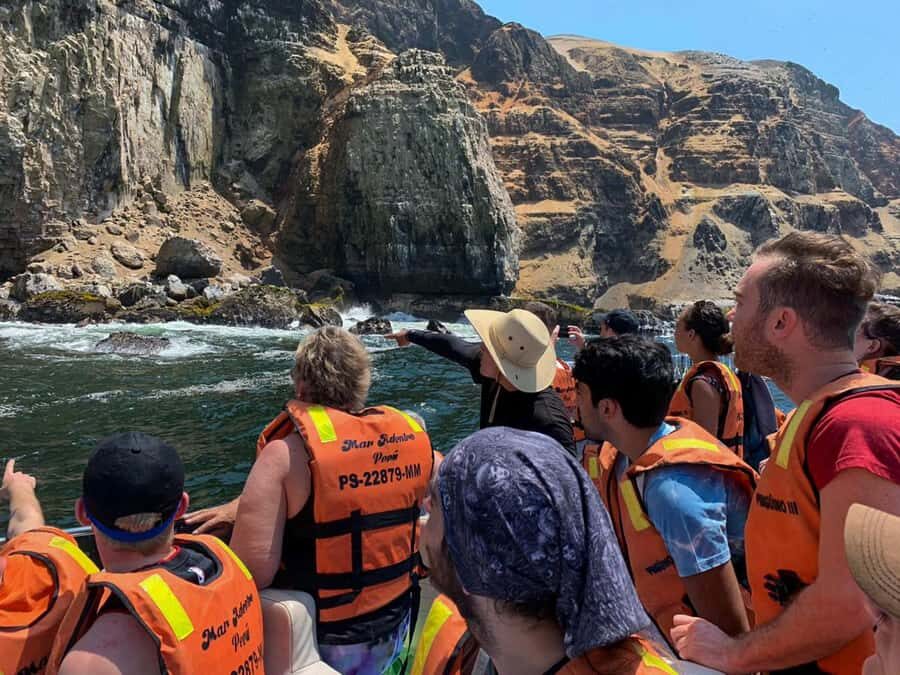 Palomino Islands Yacht Tour and swim alongside the sea lions - Who this tour suits best (and who should skip it)