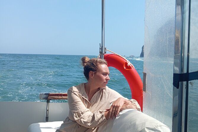 Palomino Islands Yacht Tour for Swimming with Sea Lions - The 10:30 am Departure: Where to Meet and What the Timing Means