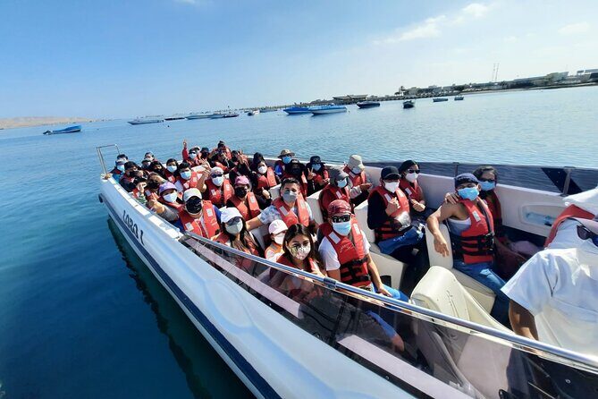 Paracas, Ballestas Islands and Huacachina Guided Tour - Comfort and logistics: the bus is part of the experience