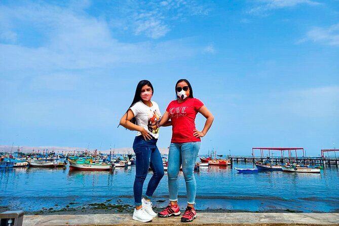 Paracas, Ballestas Islands and Huacachina Guided Tour - Who should book this tour, and who should skip it