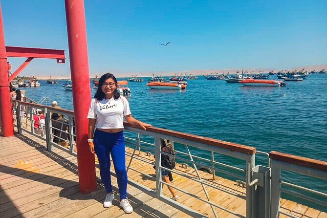 Paracas, Ballestas Islands and Huacachina Guided Tour - Ballestas Islands by modern glider: wildlife on your side of the boat