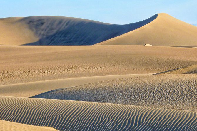 Paracas - Ica Full Day (Private tour) - Why this Paracas–Ica private day is such a strong use of time