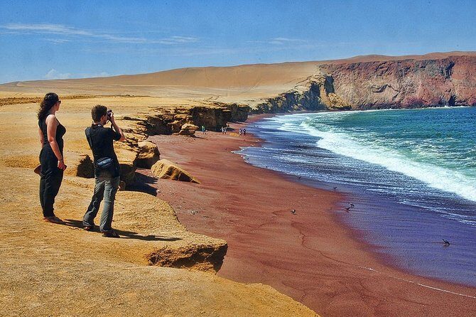 Paracas National Reserve & Ballestas Islands Tour from Lima - Paracas National Reserve: desert-ocean contrasts and birdlife context