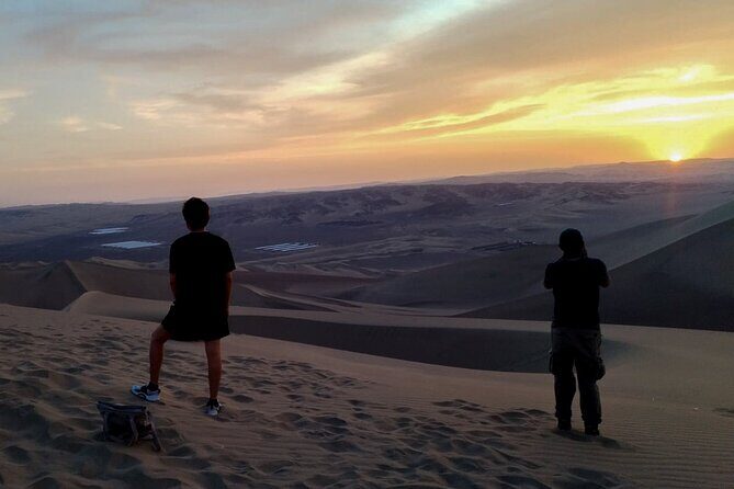 Paracas Tour with Ballestas Islands, Ica and Huacachina with Sunset - Ballestas Islands: wildlife, El Candelabro, and binocular time