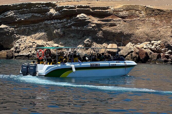 Private Full Day All Inclusive in Paracas, Huacachina and Vineyards - Huacachina: dune buggy rides, sandboarding, and a sunset plan