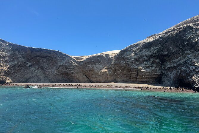 Private Full Day All Inclusive in Paracas, Huacachina and Vineyards - Who this tour fits best (and who should skip it)