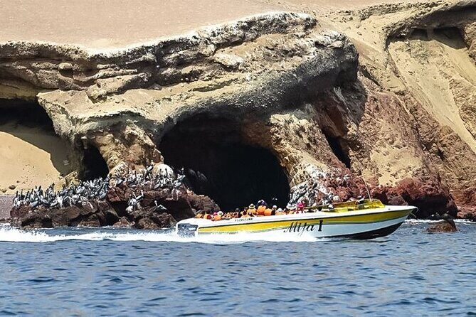 Private Full-Day Paracas Reserve and Ballestas Islands from Lima - El Carmen District: Pisco sours, wine tasting, and local-made drinks