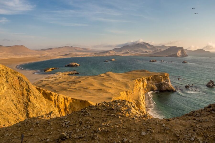 Private Tour: Ballestas Island & Huacachina Oasis, from Lima - Vineyard visit and Pisco: Why Ica tastes like Peru