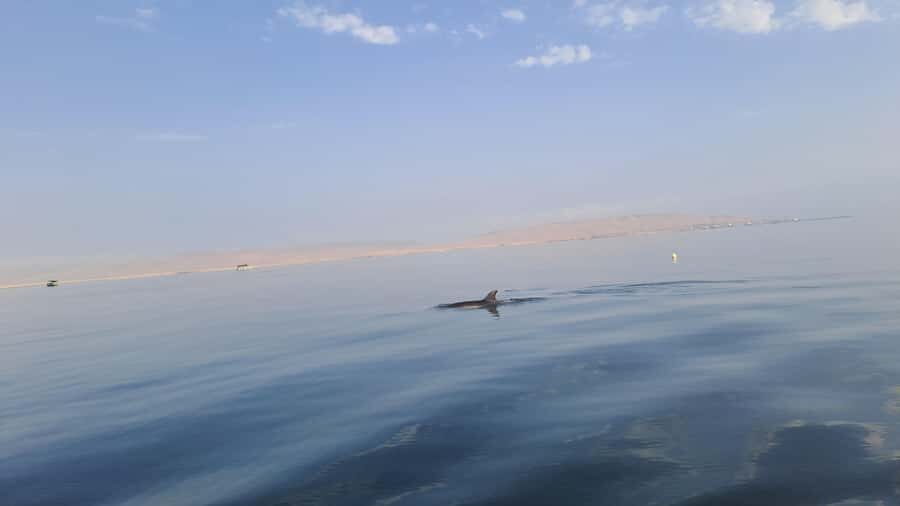 Private Tour: Ballestas Island & Huacachina Oasis, from Lima - Who this private tour suits best (and who should skip it)