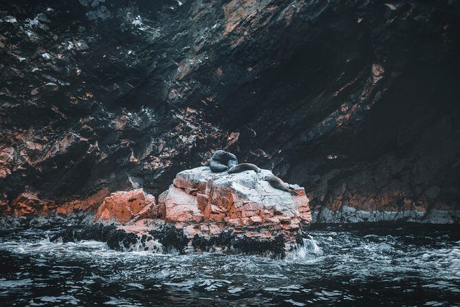 PRIVATE TOUR from Lima to Oasis and ballestas Island(make your own schedule) - Ica and wine time: how the schedule can shift to match your vibe