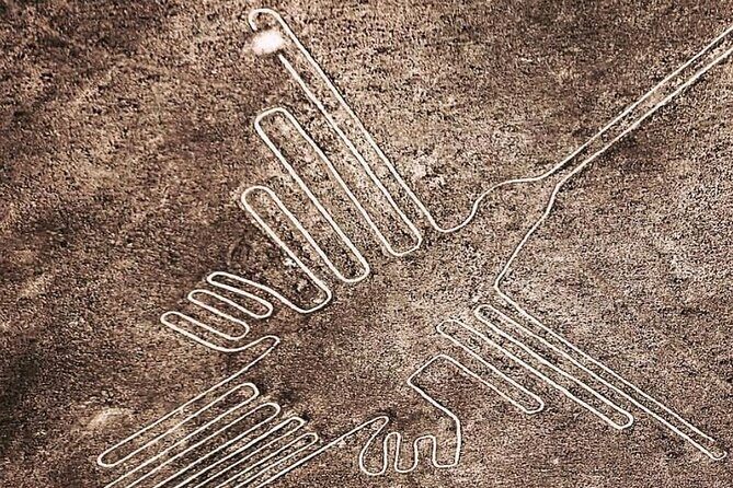 Private Tour in Nazca Lines Huacachina Oasis with Wine Tasting - What Kind of Person Should Book This?