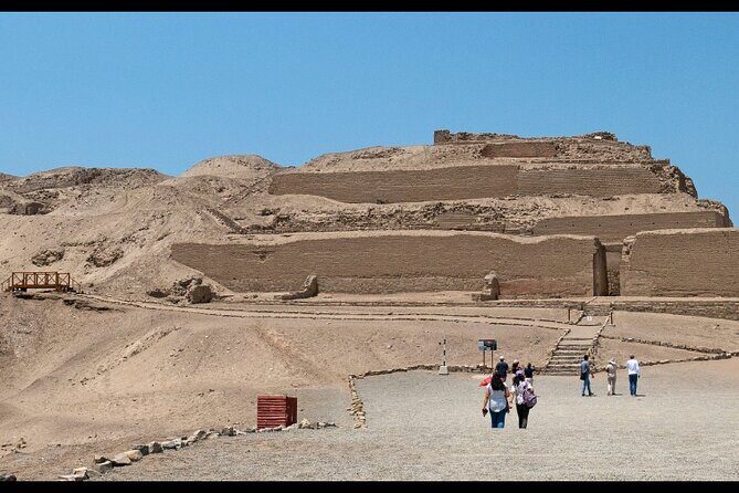 Private Tour in Pachacamac Temple and Pantanos de Villa Reserve - Stop 2: Humedal Pantanos de Villa reserve for bird and nature