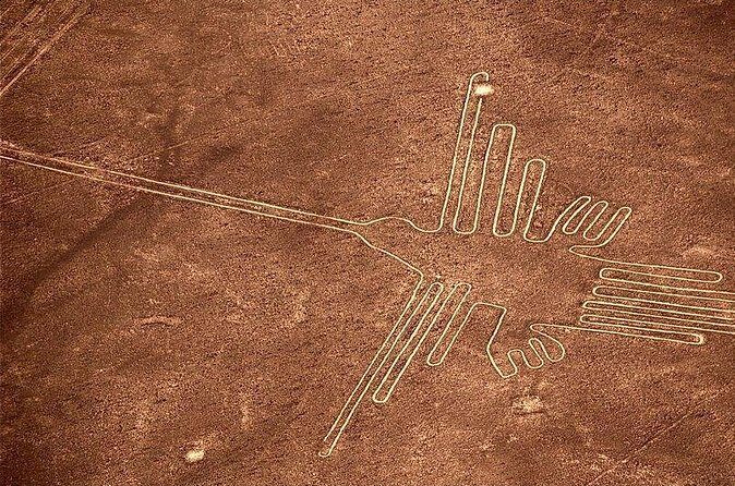 Private tour to Ballestas & Nazca - Stop 2: flying over the Nazca Lines in a 30-minute window