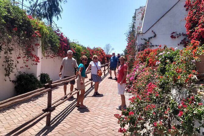Private tour to Huaca Pucllana with a former site guide - Getting There: Pucllana Site Museum in Miraflores