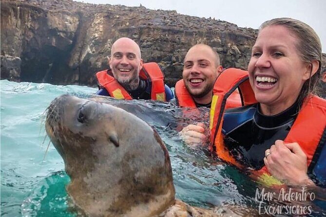 Private Tour to spot Sea Lions in Palomino Islands From Lima - Key Things That Make This Sea Lion Tour Worth Your Time