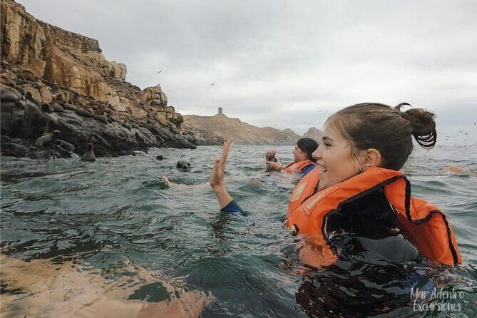 Private Tour to spot Sea Lions in Palomino Islands From Lima - Wildlife Viewing Beyond the Swim: Birds, Penguins, and Rock Formations