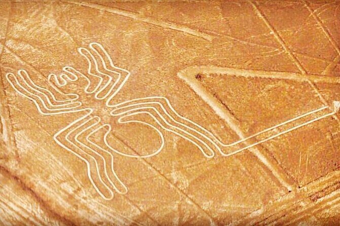 Private Tour to the Astonished Nazca Lines and Huacachina Oasis - 6:00 AM Pickup and a Comfortable Private-Guide Flow