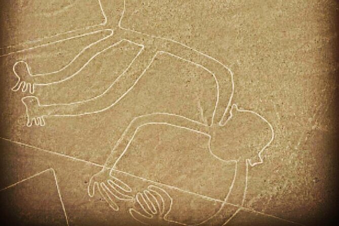 Private Tour to the Astonished Nazca Lines and Huacachina Oasis - The Long Road Back to Lima (And How to Survive It)