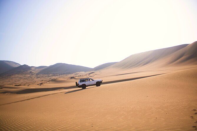 Skiing on sand and off road in Lima (National Park Lomas de Ancón) - Snacks, photos, and take-home proof you did something unusual