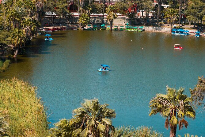 Sunset in Huacachina and Tacama: Private Tour from Lima - Private transport back to Lima: when your day ends