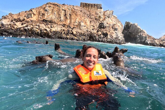 Swim with sea lions in tourist boat Palomino Islands LIMA - From La Punta to Palomino: the vibe you’ll feel fast