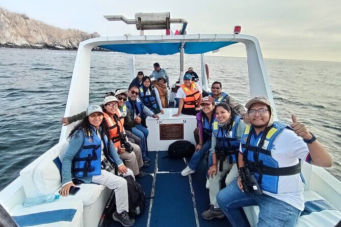 Swim with sea lions in tourist boat Palomino Islands LIMA - Wildlife spotting beyond the main event