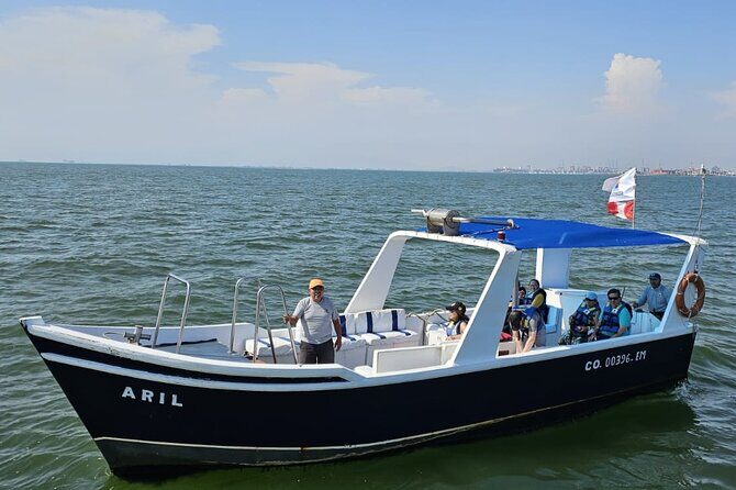 Swim with sea lions in tourist boat Palomino Islands LIMA - Comfort and safety details that actually help