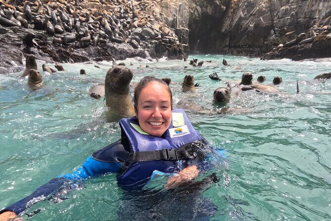 Swim with sea lions in tourist boat Palomino Islands LIMA - Islas Palomino swim: how the sea lion encounter works