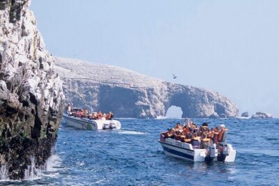 Swimming with Sea Lions in Lima - The boat route: islands, seabirds, and Humboldt penguins on the way