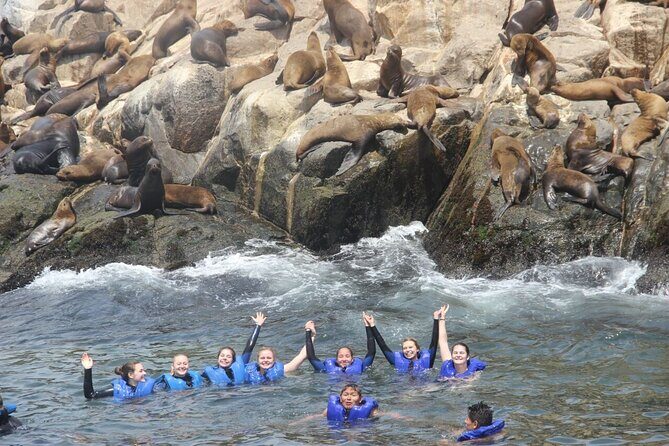 Swimming with Sea Lions in Lima - Should you book America Viajes for swimming with sea lions in Lima?