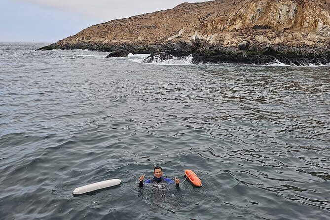 Swimming with Sea Lions in Lima - Who Should Book This Sea Lion Tour (and Who Might Skip It)