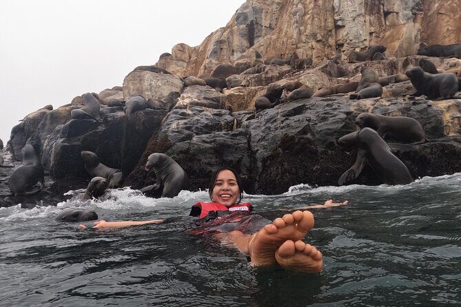 Swimming with Sea Lions on Palomino Island in Lima with Tickets - Key highlights you’ll care about