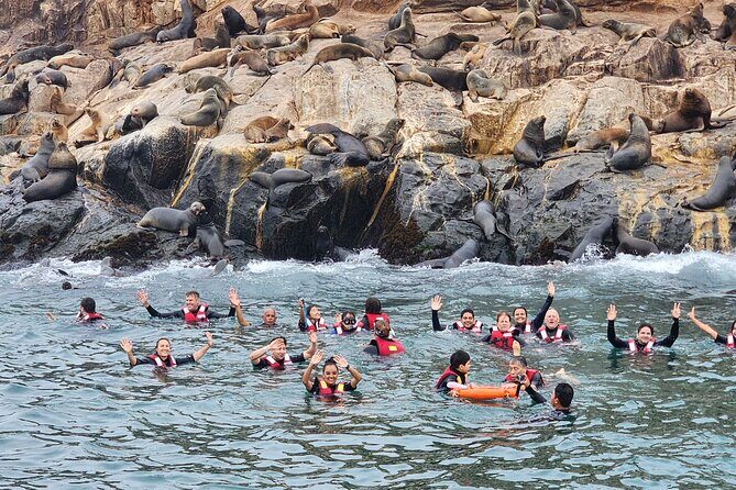 Swimming with Sea Lions on Palomino Island in Lima with Tickets - What’s included in the $80 price (and why it’s not just the swim)