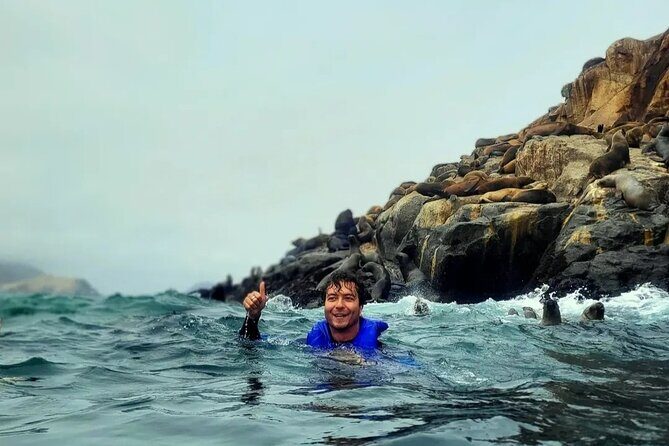Swimming with Sea Lions on Palomino Island in Lima with Tickets - Safety and comfort: the gear choices that affect your day