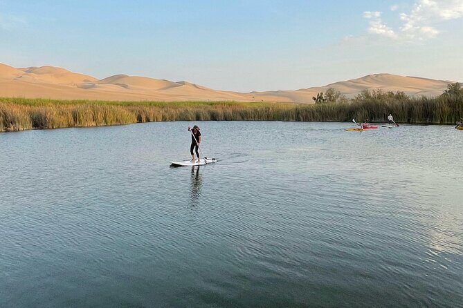 The most epic Paracas & Huacachina experience ever! - Ica’s Cultur Pisco Vineyard: wine and pisco tasting without the snooze factor