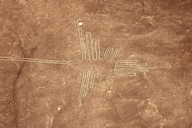 The Nazca Lines & Huacachina Oasis from Lima - Private Trip - Nazca Lines overflight in a small plane: the part you’ll remember